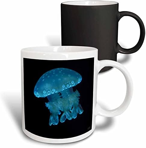 3drose lagoon wellyfish mastigias caneca, 11 onças