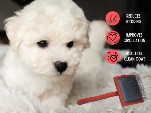 Becheesy - Profissional Dematting Slicker Brush for Dogs & Cats | Detangles e controles derramamento | Leve e ergonômico