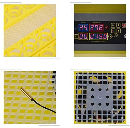 ALREMO 103234536 Incubadora de ovo para chocar ovos de temperatura Máquina de incubatórias de ovos automáticos ajustáveis ​​para codornas