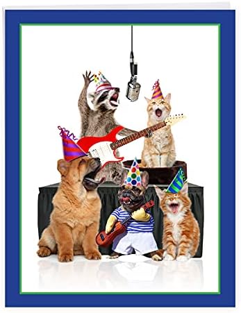 Nobleworks - Hilariante Card de Feliz Aniversário com Envelope - Cartão de Saúde Funny Animal de todos nós - Bandas de animais