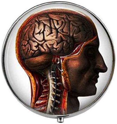 Jóias vintage de anatomia humana do cérebro humano - caixa de comprimidos de foto - caixa de comprimidos de charme - caixa de doces