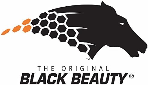 Black Beauty® Abrasive Blast Media Fina abrasiva 20/40 Tamanho da malha para uso em gabinete de areia - 75 libras