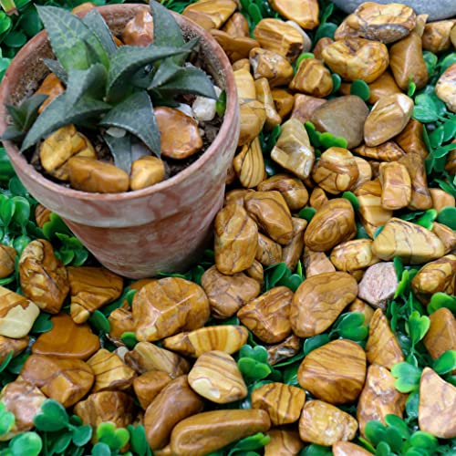 Pebles de madeira polida 5 lb. Rochas de ½ ” - 1” para plantas, jardins, paisagismo, suculentas, cascalho de tanque de peixes,