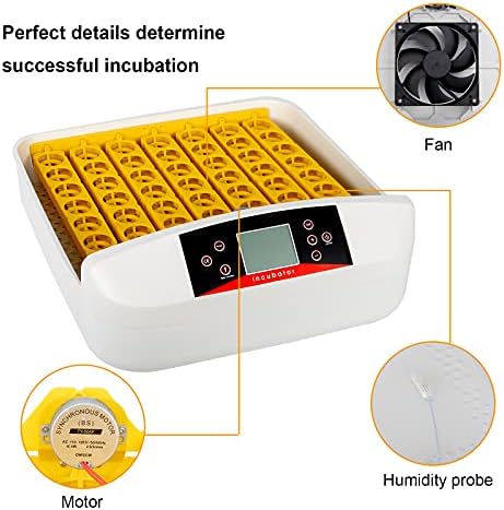 Incubadora de ovo transparente digital de 42/56 ovos com giro automático de ovos e umidade e controle de temperatura, Candler de LED,