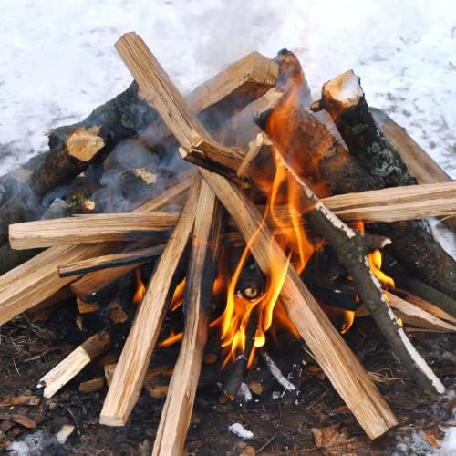 10 lb. Conjunto de caixas de presente Fatwood | A partida de partida de incêndio em uma caixa de armazenamento de madeira de bétula