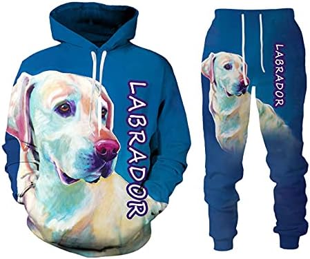 Autumn 3D Labrador Dog Dog Sweater de capuz masculino Conjunto de roupas casuais masculino Menina de manga longa Menina