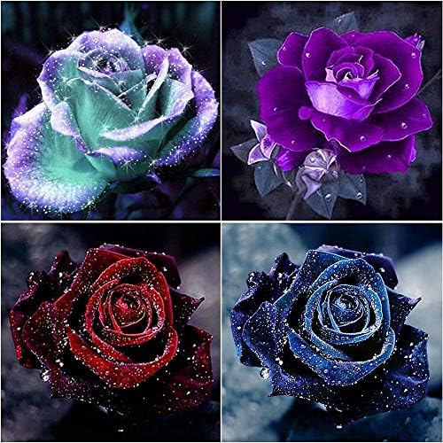 4 kits de pintura de diamante para adultos kit de arte de diamante de flor de rosa 5d para iniciantes, tinta diy com pinturas
