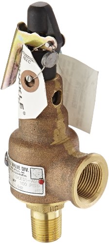 Kunkle 6010DCE01-AM0100 Bronze ASME Safety Relace Valve para vapor, assento macio EPR, 100 pressão predefinida, entrada