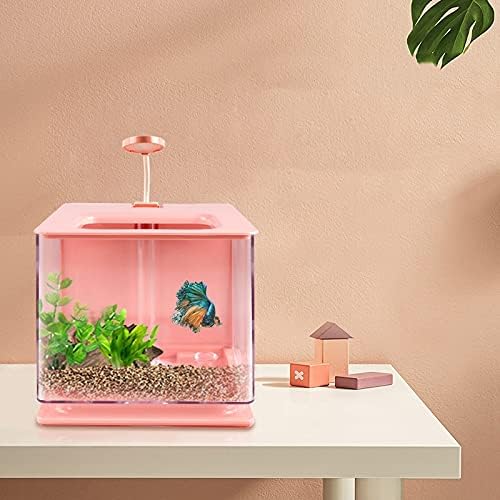 Zlbyb Desktop Mini Aquarium Fish Tank Aquarium com decoração de tanque de peixes leves LED
