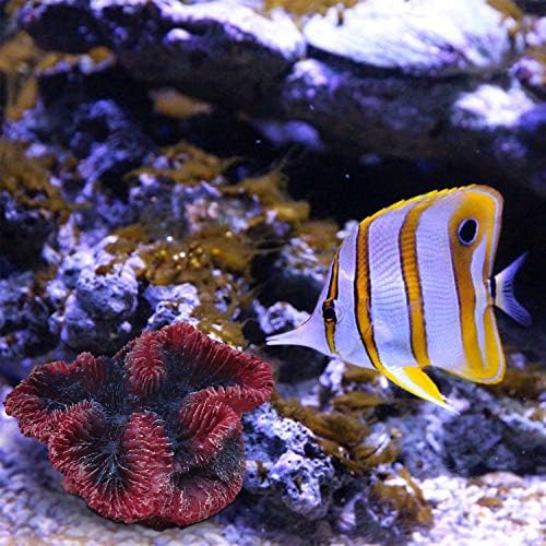 E.YOMOQGG AQUARIUIM CORAL POLYRESINA ORNAMENTOS, Decoração artificial de recifes de corais para tanques de peixes e decoração de paisagem
