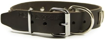Dean e Tyler Silver Fire Dog Collar - Hardware de níquel - marrom - tamanho 40 x 1 1/2 Largura. Se encaixa no tamanho