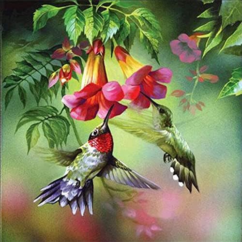 MXJSUA DIY 5D Pintura de diamante Hummingbird por kits de números para adultos, beija -flor kits de pintura de diamante de néctar de beija -flor