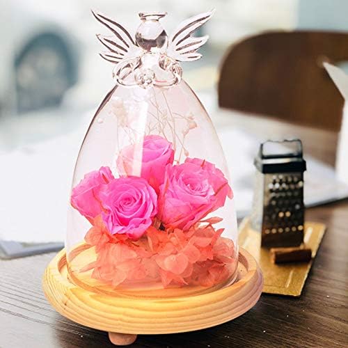 Cúpula de vidro Besportble com base de madeira em forma de anjo em forma de vidro de vidro de flor mini capa de bolo cloche cúpula de alimentos transparente tampa de tampa decorativa para cupcake docy rosa flor suculenta