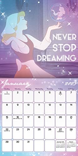 Disney Cinderela Calendário 2023 - Pacote de calendário de parede de Deluxe 2023 com mais de 100 adesivos de calendário