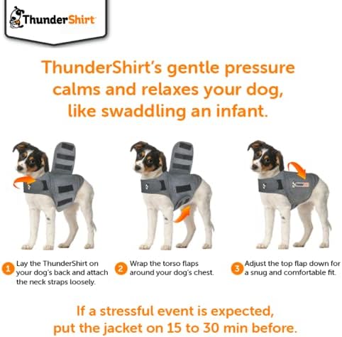 ThundersHirt para cães, x-small, cinza