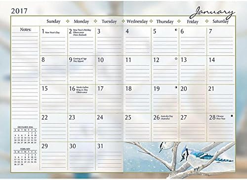 Lang 2017 Songbirds Monthly Pocket Planner, 4,5 x 6,5 polegadas