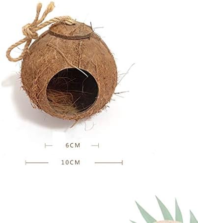 Razzum grande gaiola de pássaro coco CAGA DE CANTA DE CANTA DE PIROSTO NATURAL Decoração de jardim ao ar livre Criativo