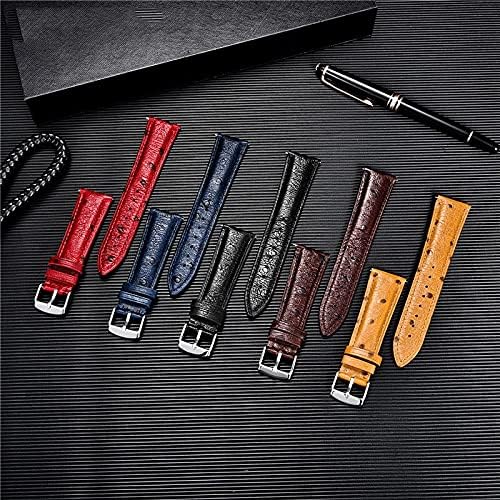 Haiqings Leather Lançamento rápido Banda de relógio Strap Red Black Blue 18mm 20mm 22mm com fivela de aço inoxidável prateado
