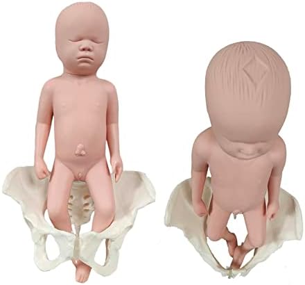 Modelo de treinamento de obstetrícia de Lenfun, demonstração do modelo de treinamento de obstetrícia do parto feminino para simulador