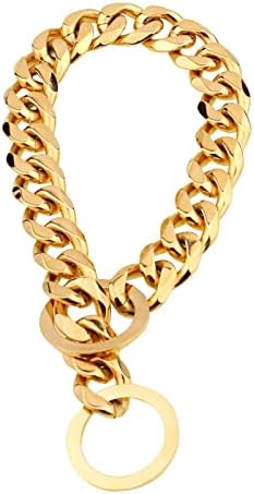 Slakkenreis Aço inoxidável Pet Golden Gary Dog Chain Chain Collar D One Tamanho