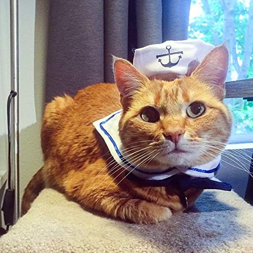 Traje de halloween de gato lesipet, chapéu de marinheiro de 2 pacote com traje de halloween de gravata para cães pequenos