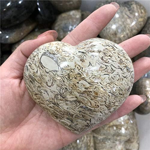 Seewoode AG216 189G Natural Petrifice Wood Heart Polido Polido Crystal Rock Stone Stones Natural e Minerais Presente