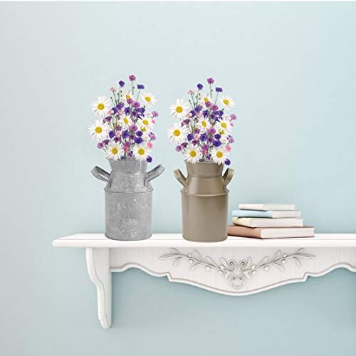 Decoração de casa rústica de hemotão 2pcs vaso de flores chiques de leite rústico pode galvanizar a jarra de metal de flor de flor
