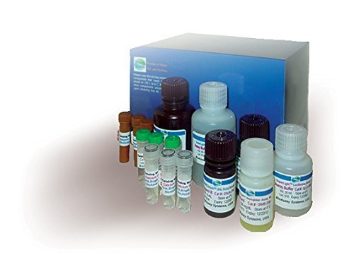 DiPi -500 - Kit de ensaio de fosfato - kit de ensaio de fosfato Quantichrom, sistemas de bioensaio - cada