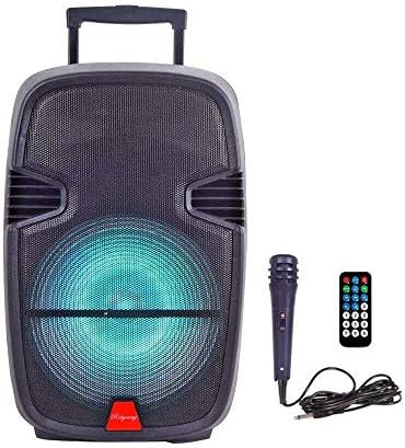 Ridgeway QS -805 Portátil Audio Bluetooth - Portátil - Alto -falante recarregável de woofer com bateria de longa duração USB/FM