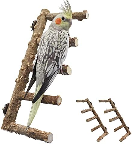 2 pacote escada de pássaro, bobo de pássaro, stand natural de gaiola de papéis de madeira de madeira de cinzas de cinzas,