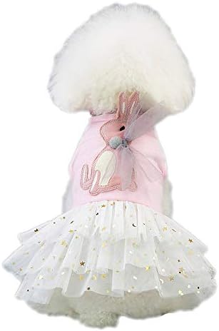 Vestido de cachorro para garotas de cachorro de cachorro roupas de vestuário de vestuário fofo fantasia de animais de estimação de gato de renda de gato tutu malha vestidos