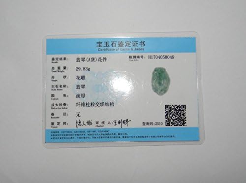 YW 1.8 China Certified Grade A Nature Hisui Jadeite Jade Fortune Pixiu e Ruyi