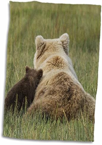 3drose Young Grizzly Cub se inclina contra sua mãe. Lago Clark NP, Alasca. - Toalhas