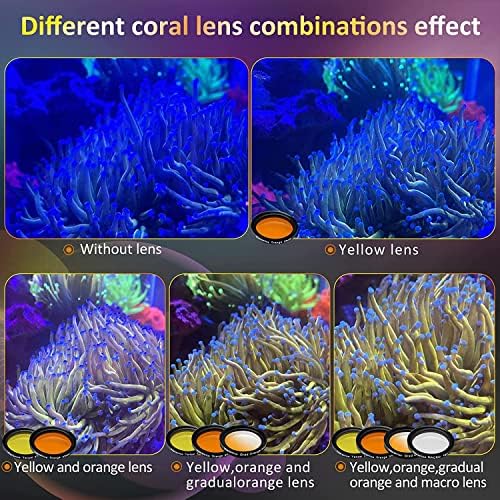 Weramics lente coral lente aquário Kits de lente de filtro para telefone 8 kit de lentes de coral 1 capa de poeira 2 clipes