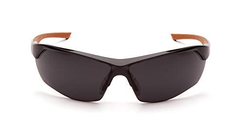 Carhartt-chb1120dt Braswell Anti-Fog Glasses Protecção ocular, moldura preta, lente cinza