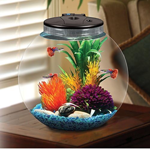 Koller Products Aquaview 3 Gallon Fish Tank com filtro de energia e iluminação LED