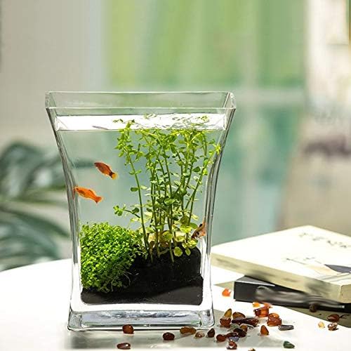 WPYYI Creative Glass Fish Tank Desktop Small Aquarium Gold Fish Tank Paisagem da sala de estar decoração da sala de estar