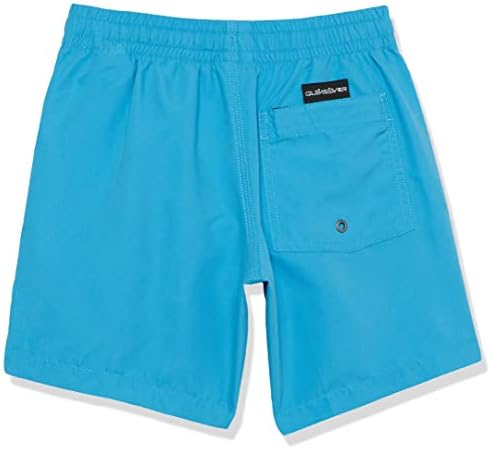 Quiksilver Boys Everyday Youth 15 Volley Swim Boardshort