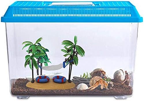 Needzo Hermit Crab Habitat Decoration, Hammock de palmeira e comida e prato de água, acessório de gaiola divertida, cores variadas,