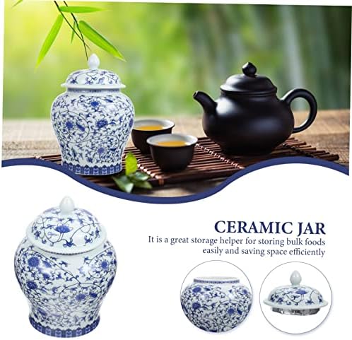 Homoyoyo Blue e branco Porcelana Caddy de chá asiático Conjunto de chá de cerâmica Conjunto de café Coffee Contêiner