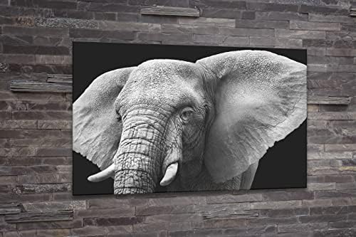Elefante de arte de parede moderna acrílica - Animais na série Wild Black and White - Design de interiores moderno - Arte da parede acrílica - Impressão de fotos Photo Artwork - Múltiplas opções de tamanho