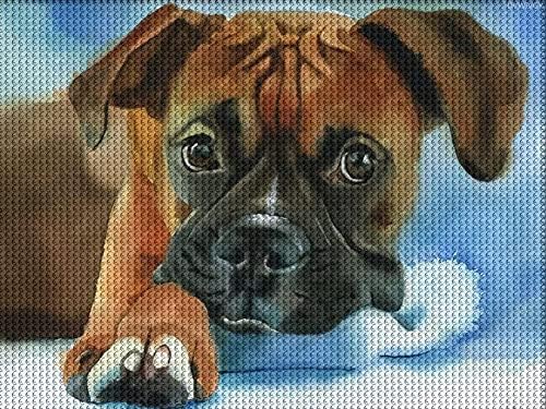 Kits de pintura de diamante 5D DIY para adultos, boxer Diamond Pintura de diamante fofo cachorro Arte de cachorro Full Full Drill Crystal
