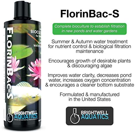 Brightwell Aquatics Florinbac S - Tratamento de água de bactérias de verão/outono para controle de nutrientes e manutenção de