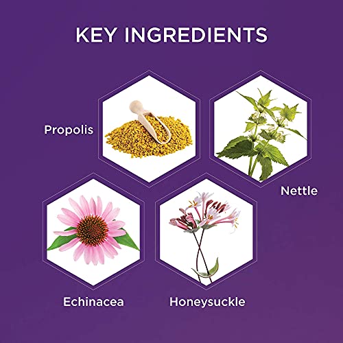 Hey Honey Tone Up Propolis & Echinacea Water Herbal Face Toner | Antienvelhecimento 3-em-1 eficaz, protege, acalma e equilibra a pele prematura | 5,0 oz.