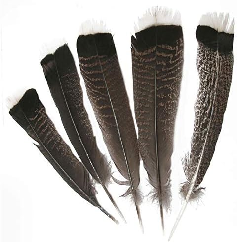 Ttndstore as penas de águia natural de 25-30cm/10-12 polegadas de peru faisão penas de pássaros de águia para jóias fazendo plumas de carnaval-30343