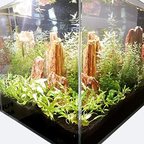 Lifegard Aquatics Low Iron Ultra Clear Clear 17 Galled Glass Crystal Aquarium - Rimless, 45 ° Vidro de borda chanfrada