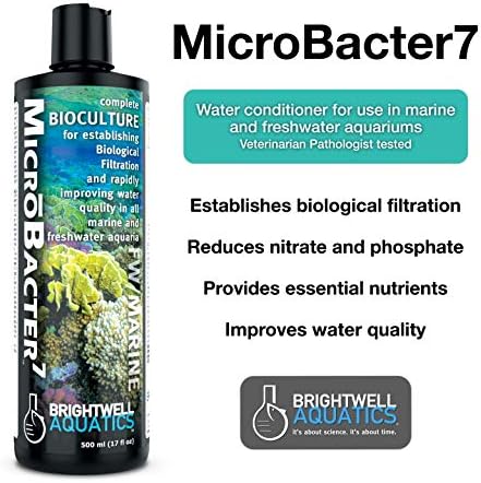 Brightwell Aquatics Microbacter7 - Bactérias e condicionador de água para tanques de peixes ou aquário, preenche mídia de filtro biológico para água salgada e peixe de água doce 250ml