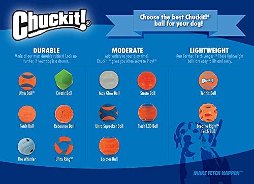 Chuck It Dog Ultra Squeaker Ball, grande, todos os tamanhos de raça