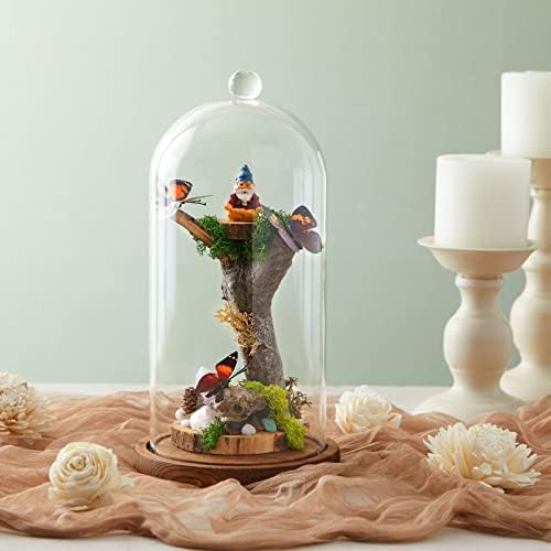Dome de vidro cloche de 11 polegadas com base para plantas, comida e velas