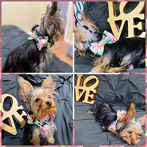 LMMDDP Pet Dog Collar Personalizado Impressão Floral Pink Cola de cachorro Cute e coleira configurada para pequenos cães